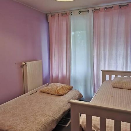 Appartement Cosy A 10 Min Du Centre De Straatsburg Buitenkant foto