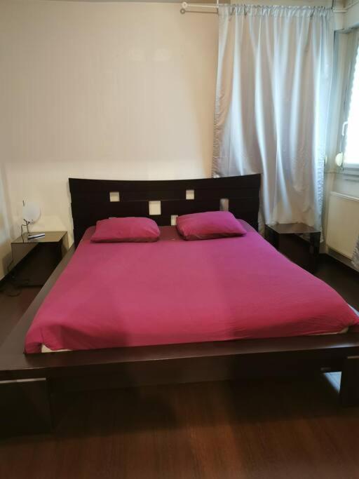 Appartement Cosy A 10 Min Du Centre De Straatsburg Buitenkant foto