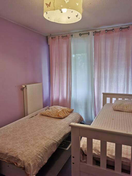 Appartement Cosy A 10 Min Du Centre De Straatsburg Buitenkant foto